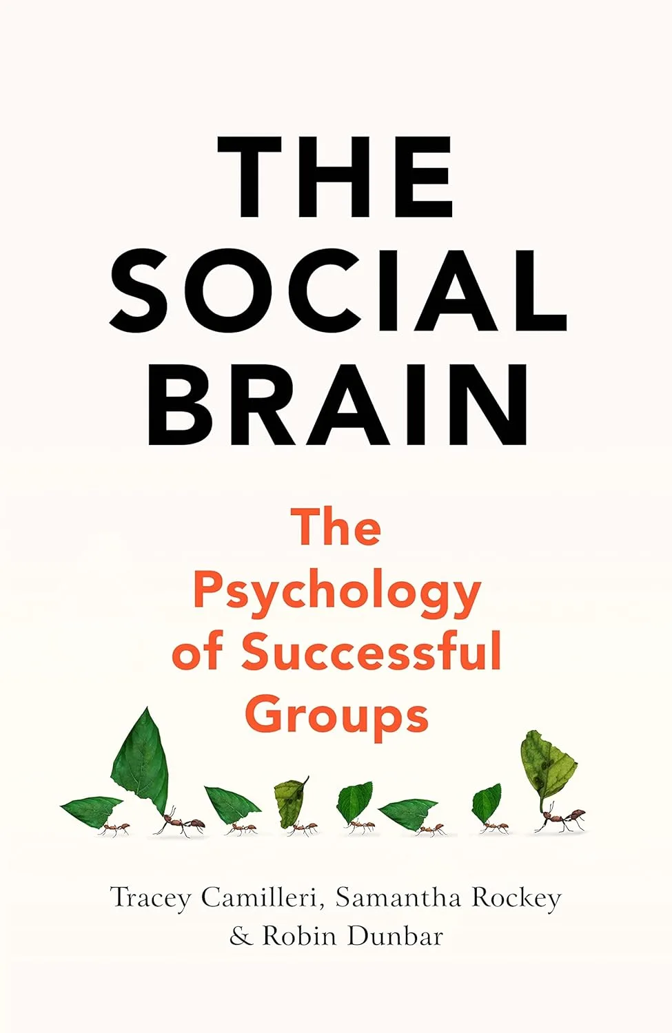 The Social Brain: The Psychology of Successful Groups